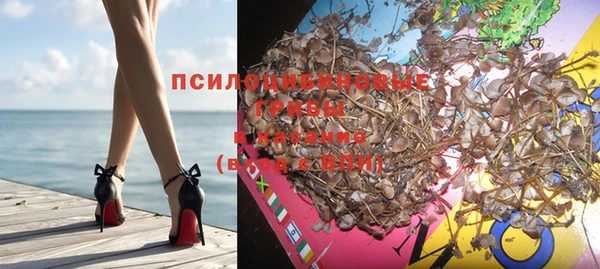 кокс Баксан