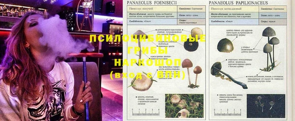 мдма Бронницы
