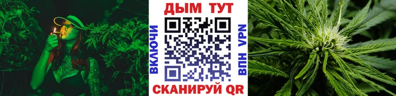 Канабис сатива  купить наркотик  Талдом 